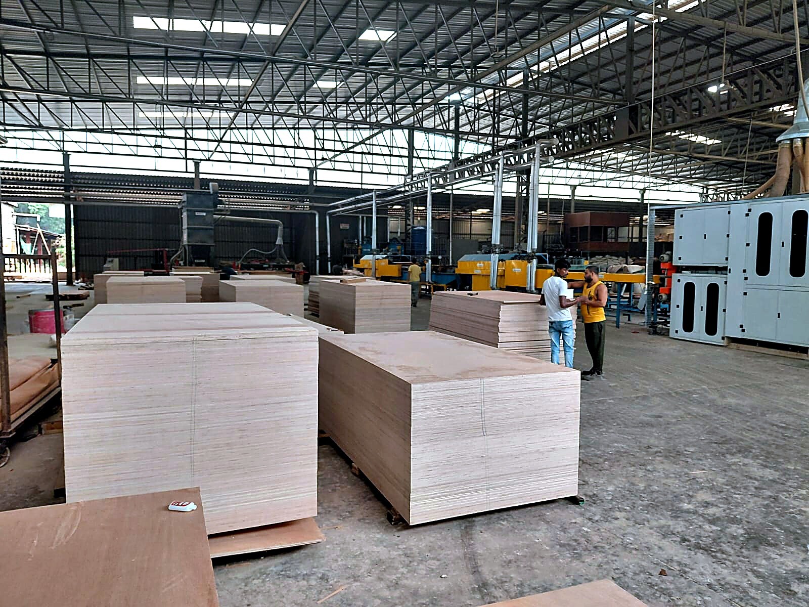 Plywood production hall with stacked panels