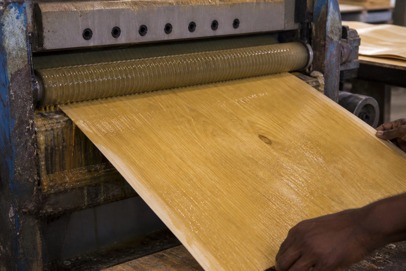 Glue spreader coating a veneer sheet with amber resin between ribbed rollers