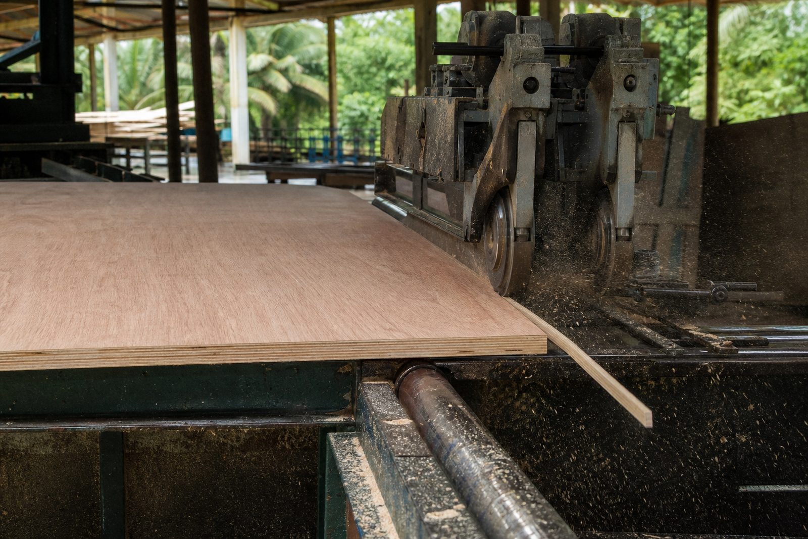 Trimming saw squaring the edge of a pressed plywood panel