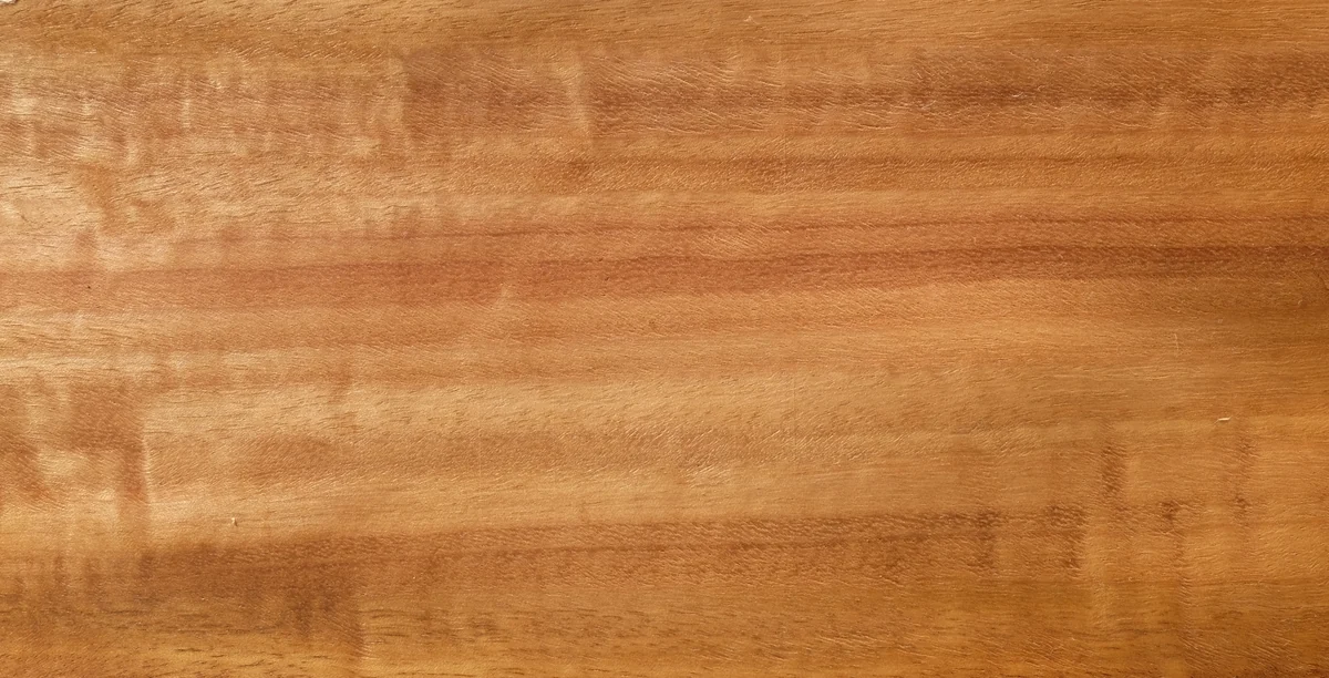 Golden-brown sliced veneer identified by its photographer as Eucalyptus globulus