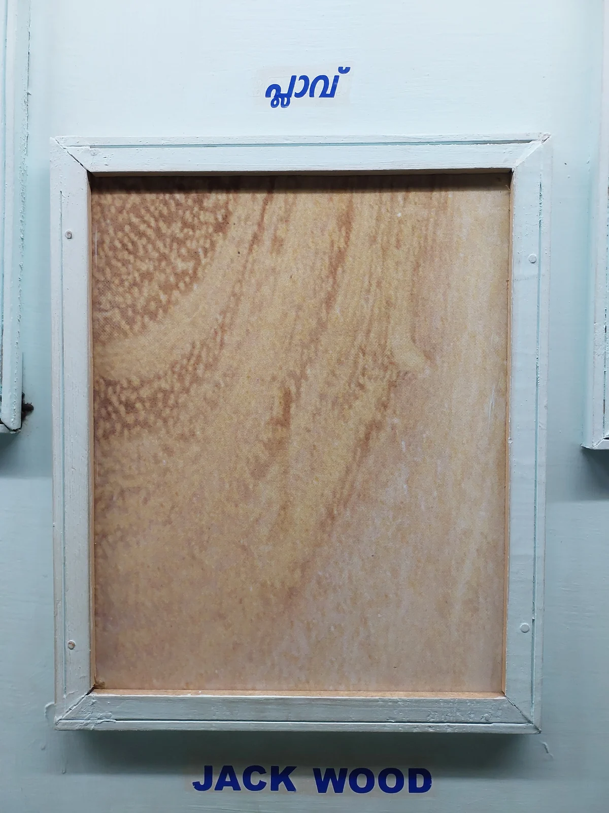 Wood-grain detail of Artocarpus heterophyllus from an identified wood specimen
