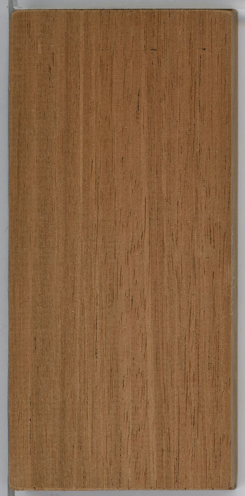 Wood grain on a preserved collection sample labelled Swietenia macrophylla