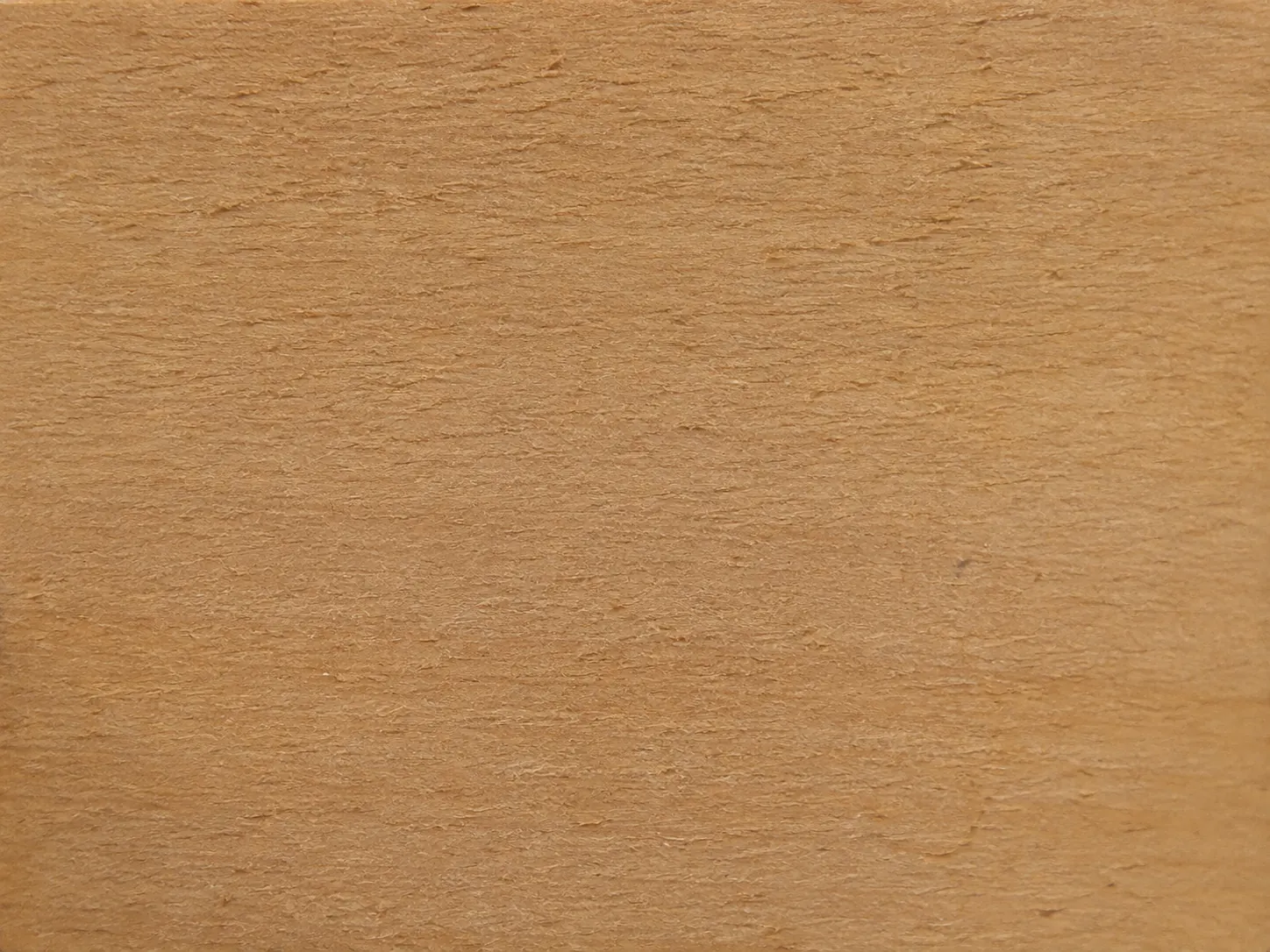 AI-assisted wood visual based on an untreated Melia dubia block photograph