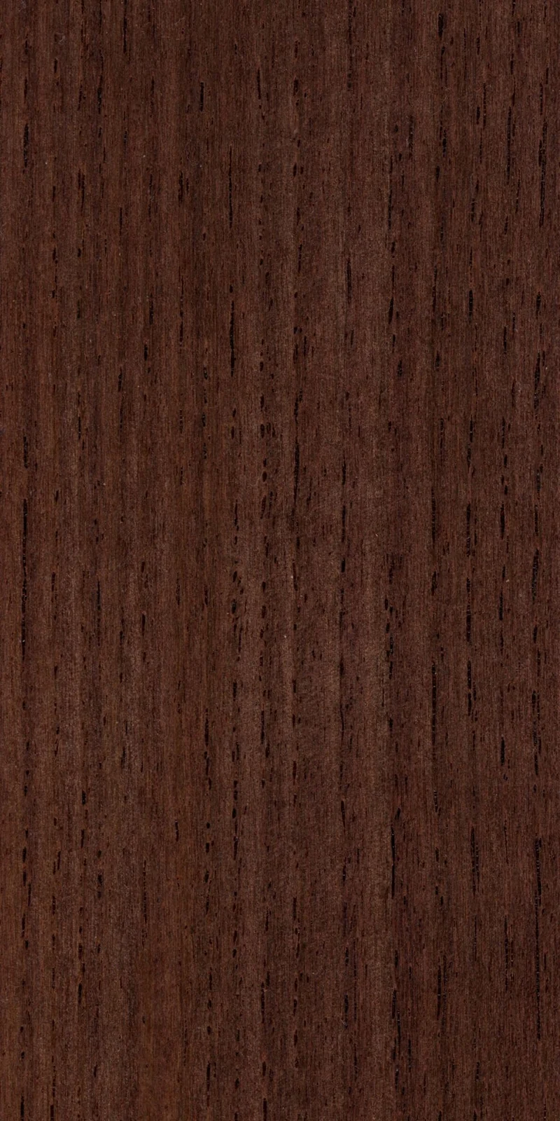 Wood grain on a preserved collection sample labelled Dalbergia sissoo