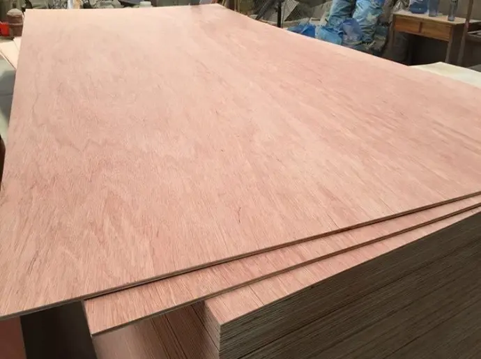 Premium Packing Plywood Panels