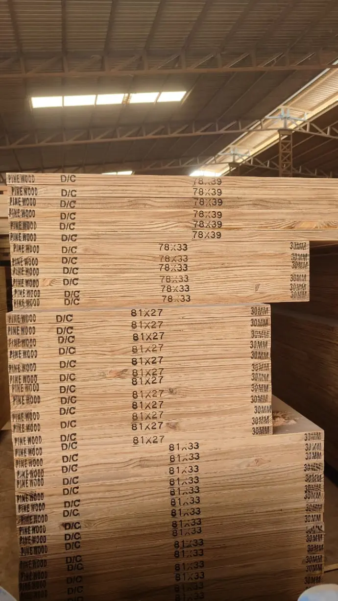 Premium Flush Door